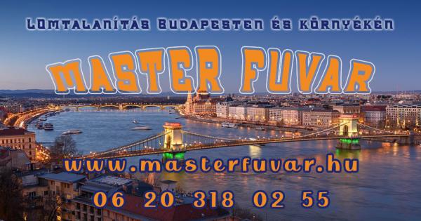 Lomtalanítás Budapest 21.kerület - Master Fuvar