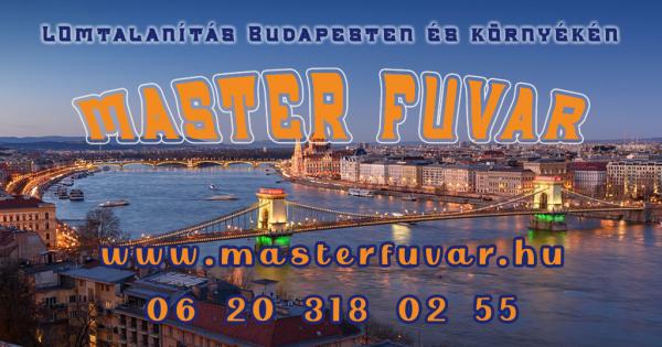 Lomtalanítás Budapest 3.kerület - Master Fuvar