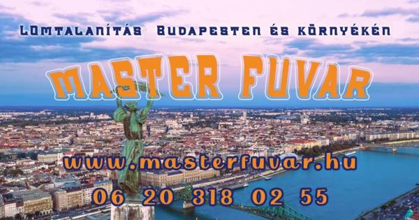 Lomtalanítás Budapest, lomtalanítás árak - MAster Fuvar