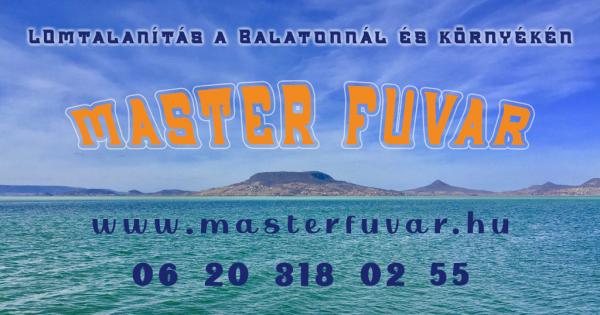 Lomtalanítás Balatonakarattya - Master Fuvar