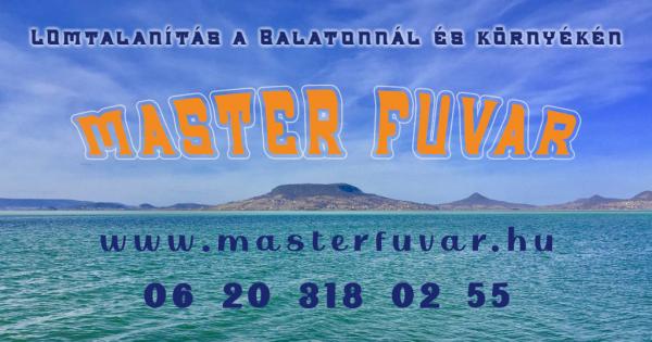 Lomtalanítás Balatonkenese - Master Fuvar